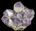 Amethyst Cluster ( lbs) - Massive Points #65149-3
